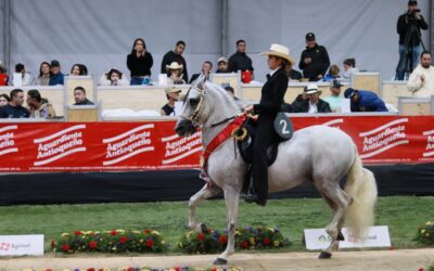 ASOCABA: Cinco décadas de pasión equina